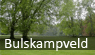 Bulskampveld